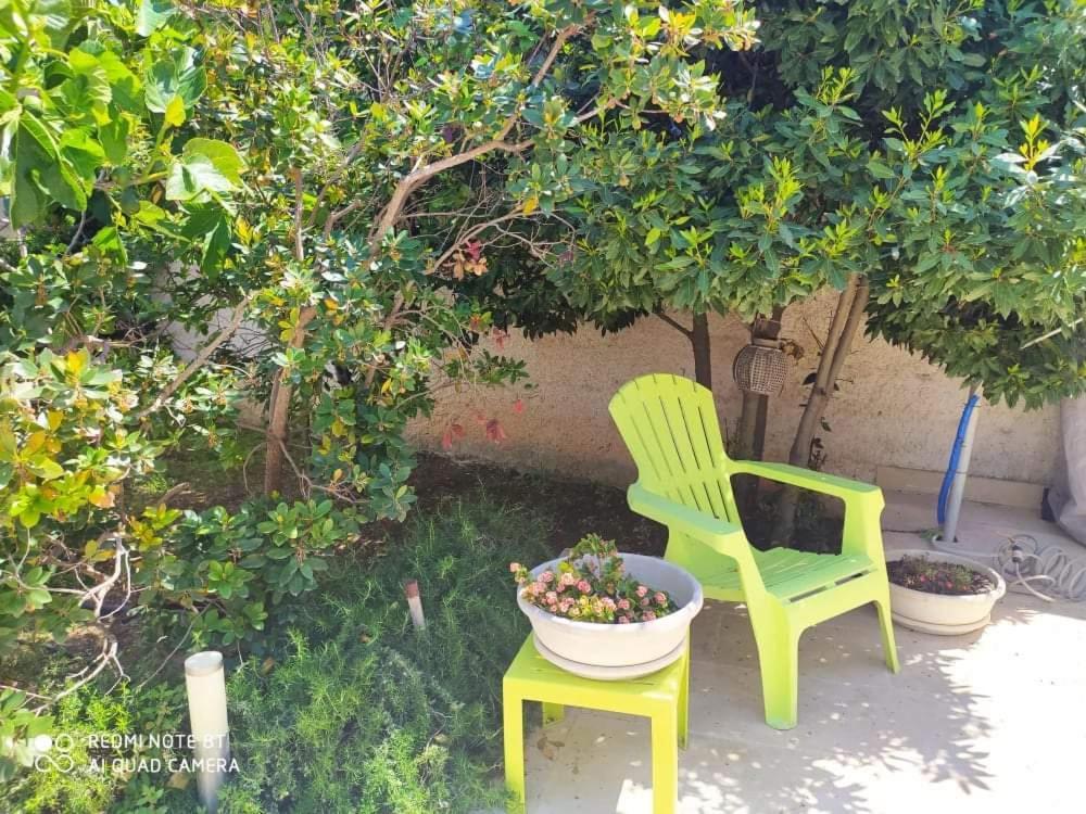 Li Curti B&B Melissano Exteriér fotografie