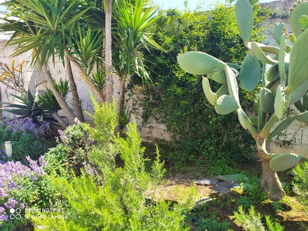 Li Curti B&B Melissano Exteriér fotografie