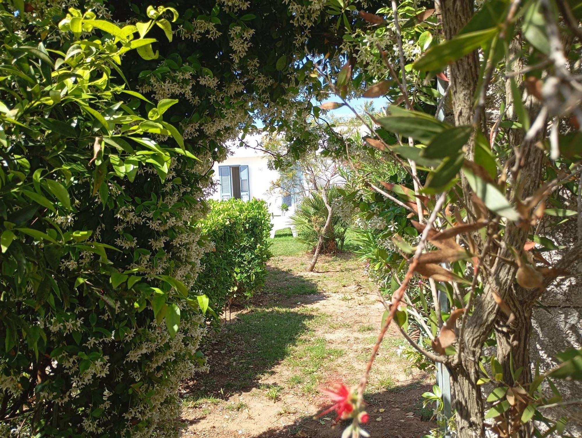 Li Curti B&B Melissano Exteriér fotografie