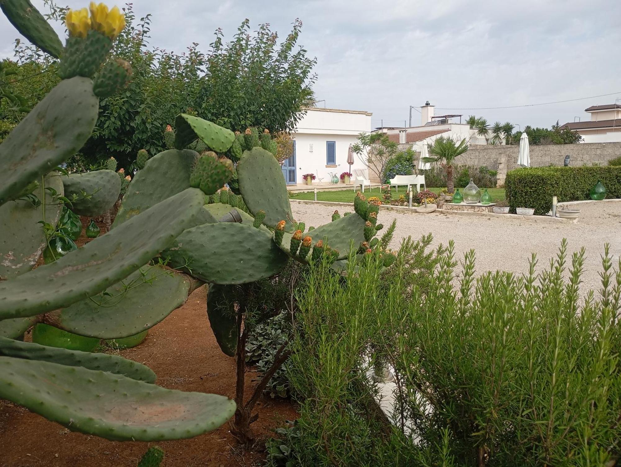 Li Curti B&B Melissano Exteriér fotografie