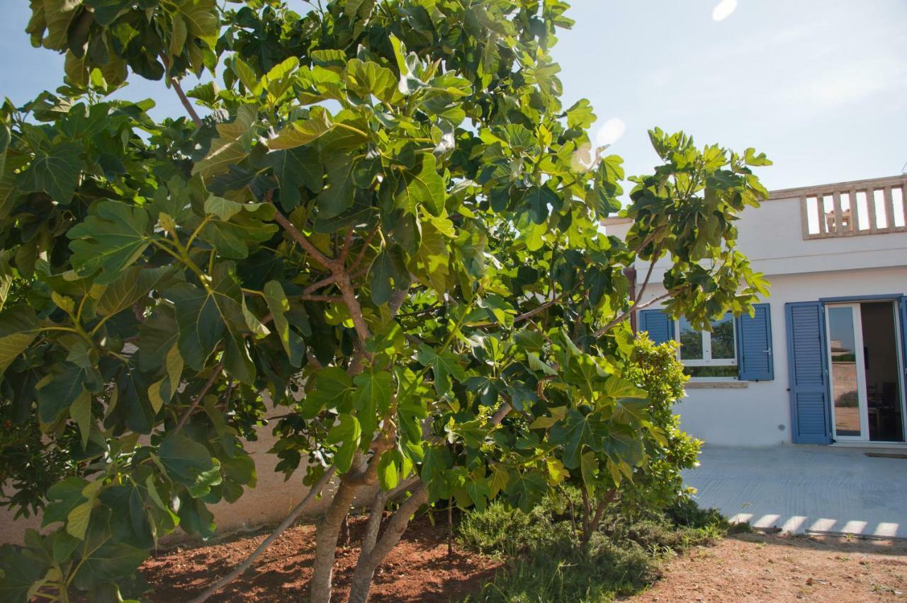 Li Curti B&B Melissano Exteriér fotografie