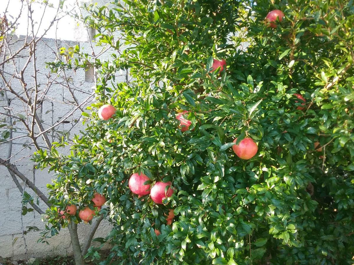 Li Curti B&B Melissano Exteriér fotografie