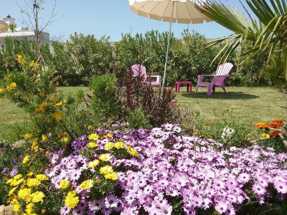 Li Curti B&B Melissano Exteriér fotografie